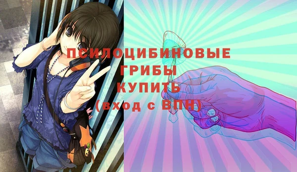 СК Киренск