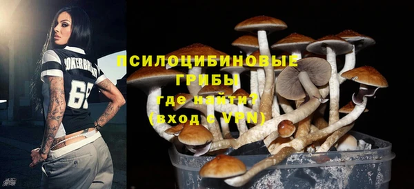 гашик Кинешма