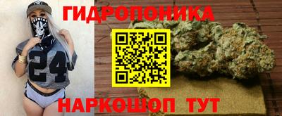 гидра Ипатово