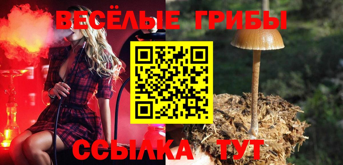 Псилоцибиновые грибы Magic Shrooms  Псилоцибиновые грибы Psilocybe  Усть-Илимск 