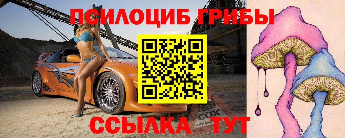 Усть-Илимск  Галлюциногенные грибы прущие грибы  Псилоцибиновые грибы Psilocybe  Вход с VPN 