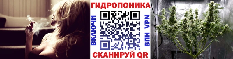 Шишки марихуана Ganja  даркнет как зайти  Усть-Илимск  продажа наркотиков 